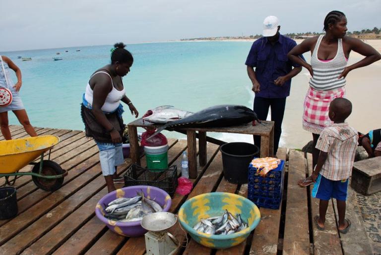 RIU Kapverden - Insel Sal - Fischverkäufer